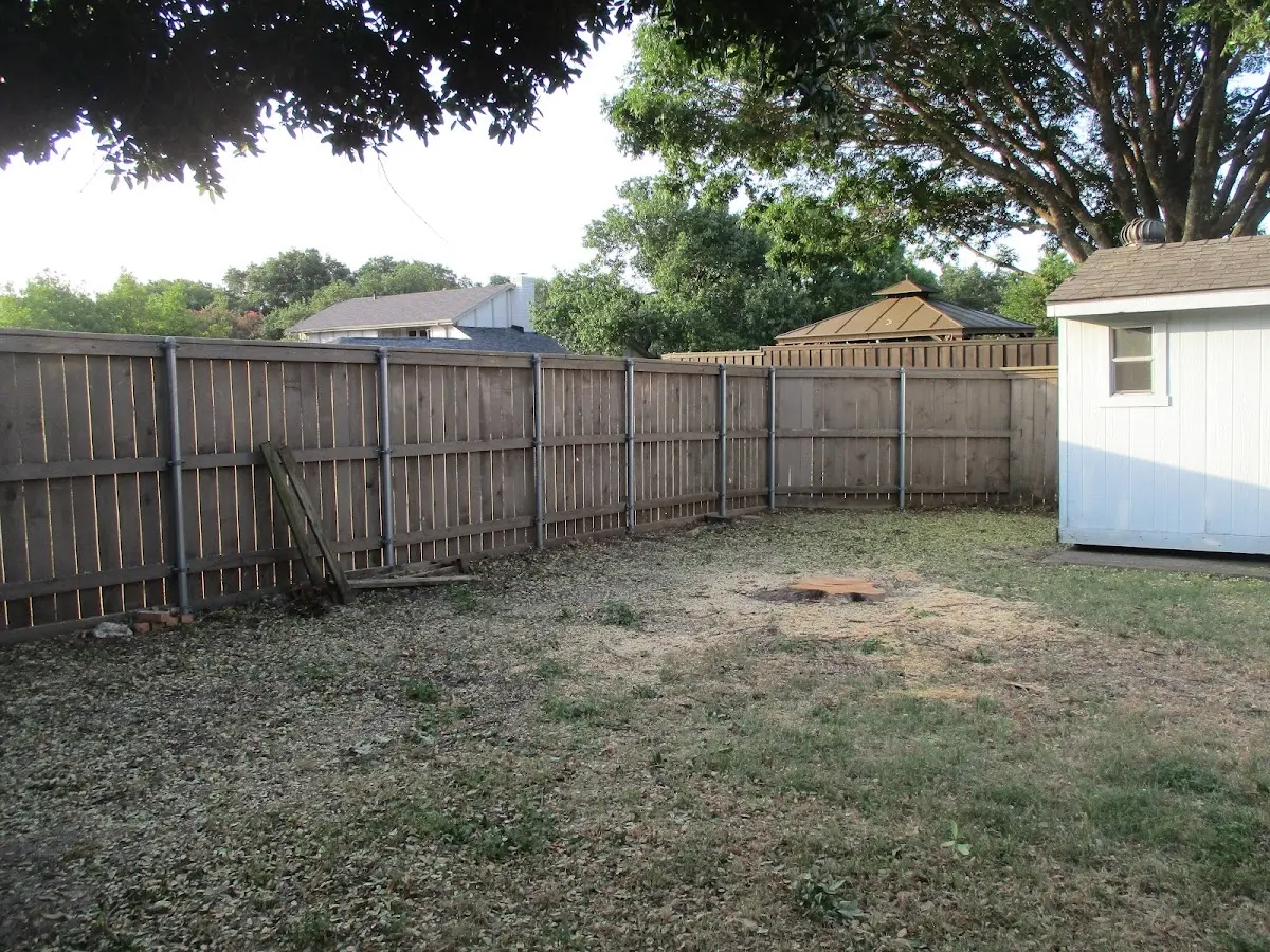 Cleared yard after professional tree removal in Klingerstown